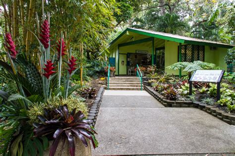 Foster gardens oahu - Jan 26, 2018 · When Paul Weissich took charge of the Foster Botanical Garden in 1957, the grounds in Honolulu were a mere 5 or so acres in size. Read more. Mahalo for reading the Honolulu Star-Advertiser! 